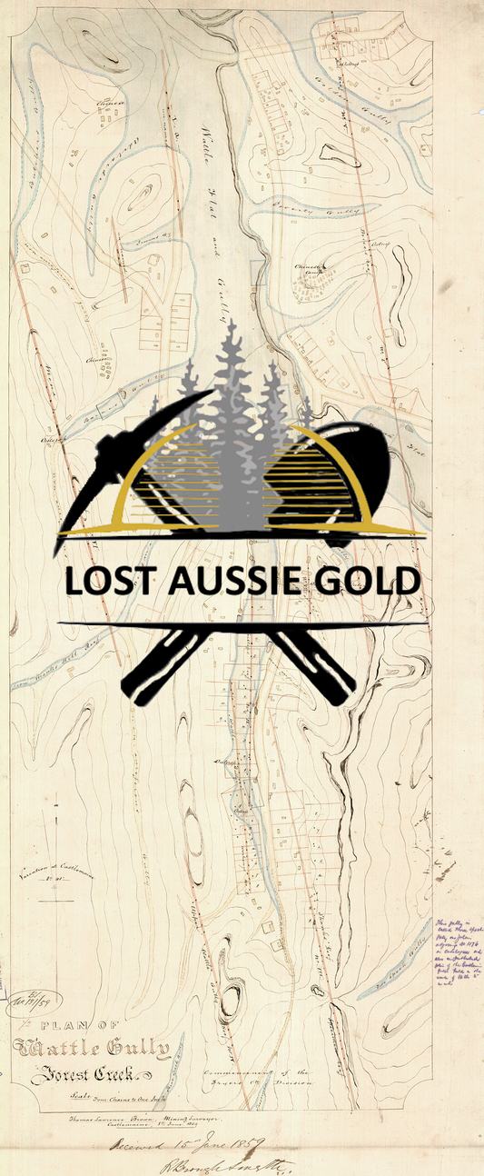 Wattle Creek - Forest Creek